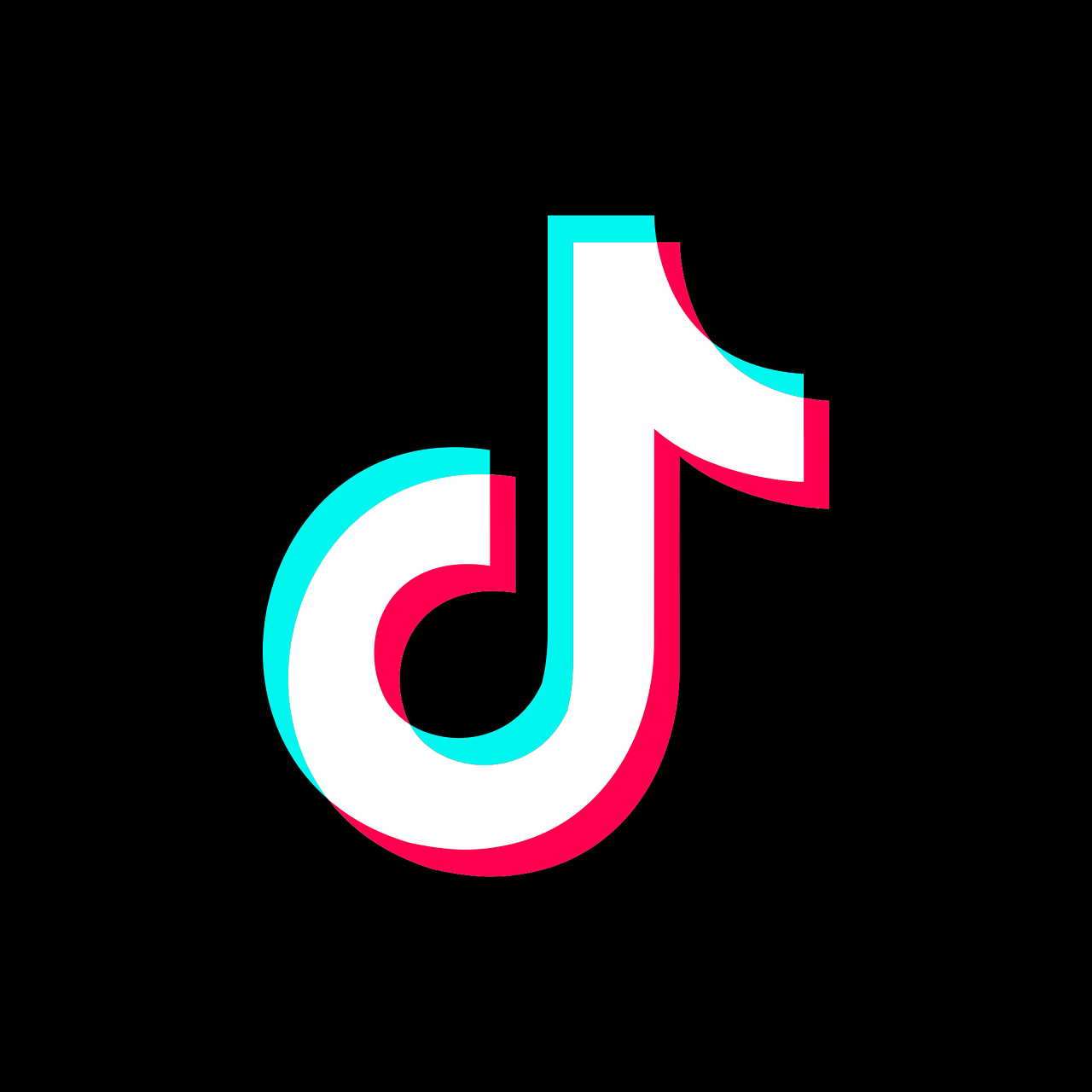 TikTok is simply the leading app for mobile videos